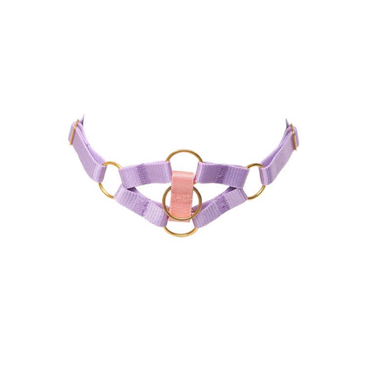 Lavender Choker with golden rings