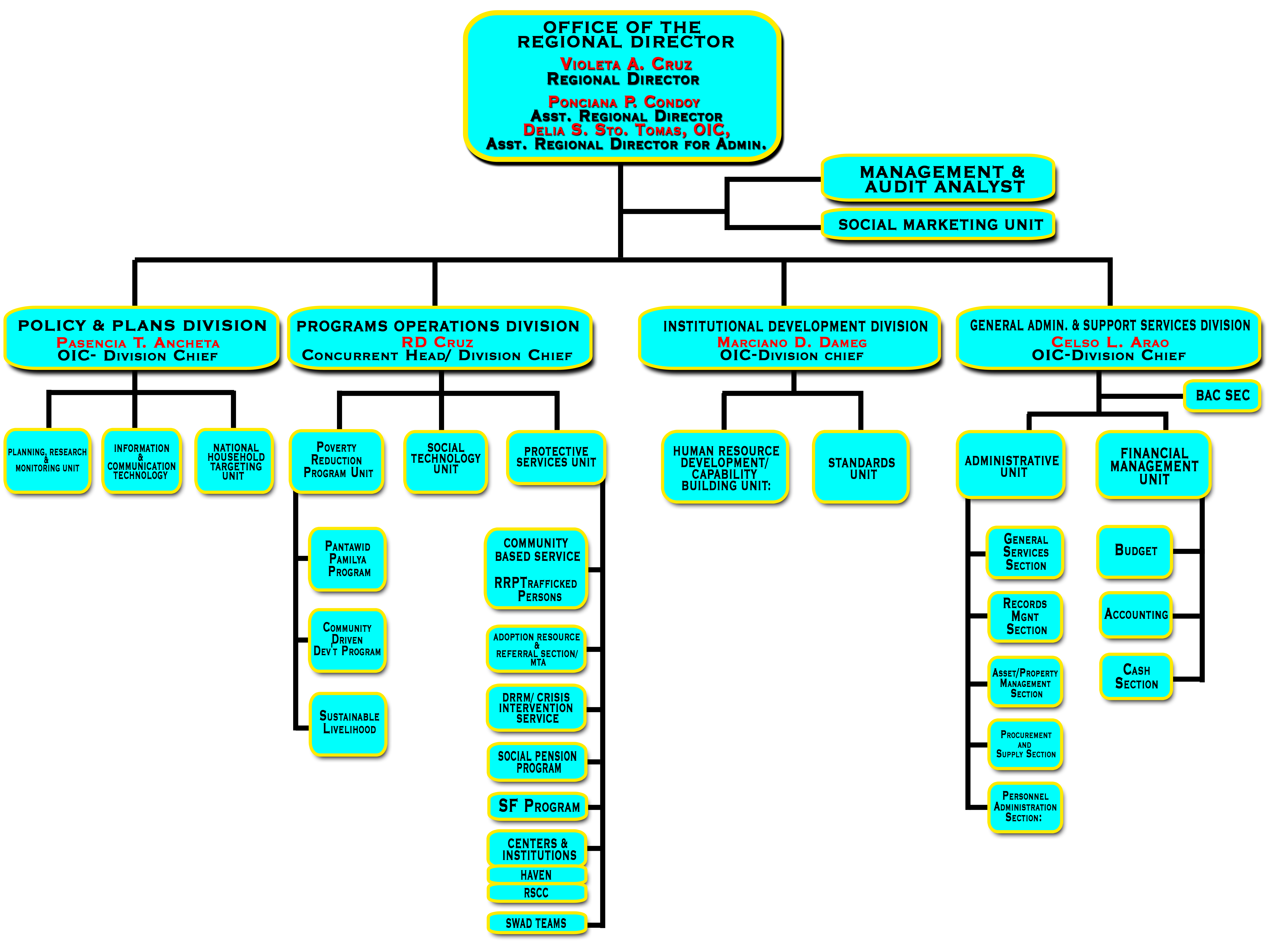 DSWD Organizational Structure