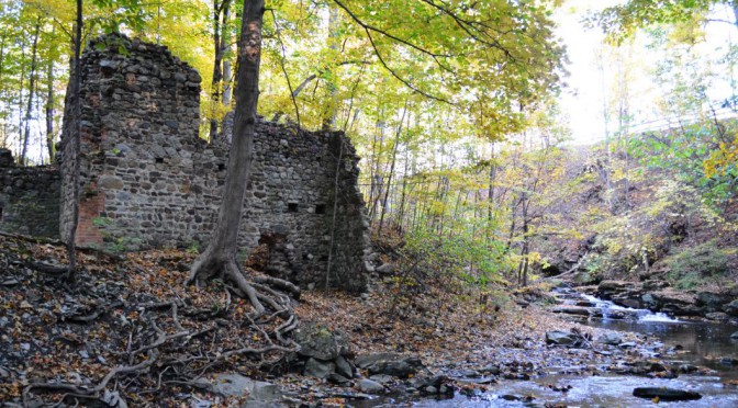 Reeder Creek: Fossil Hunting Meets History