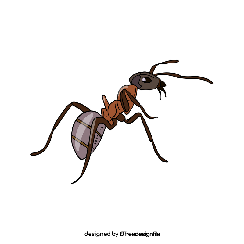 Ant clipart