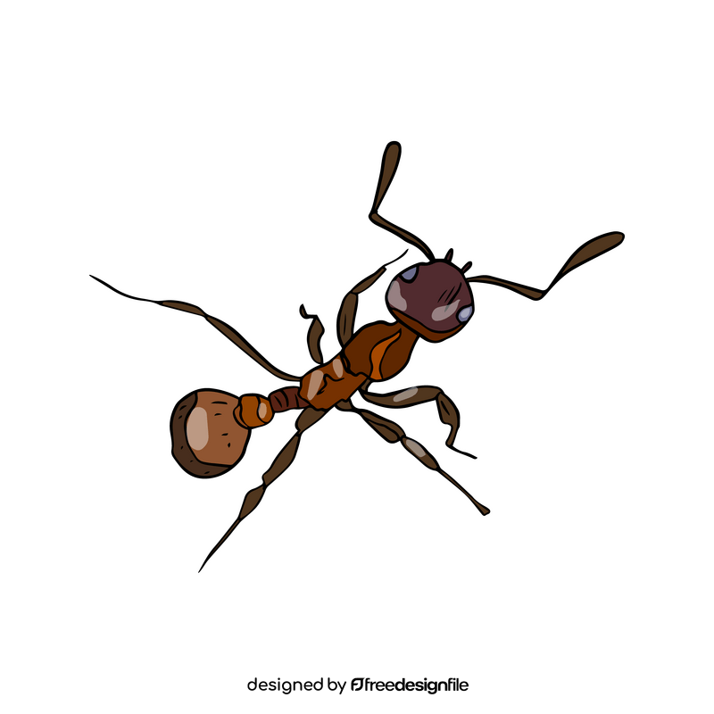 Ant clipart