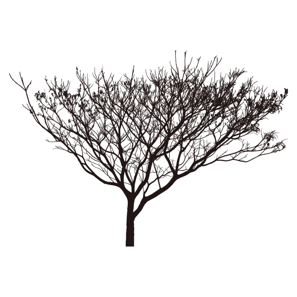 Tree Silhouette (#7)