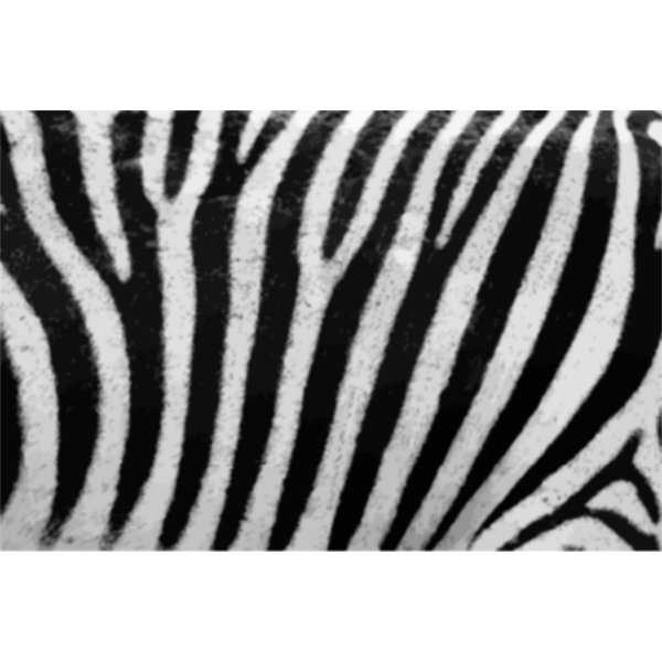 ZebraFur