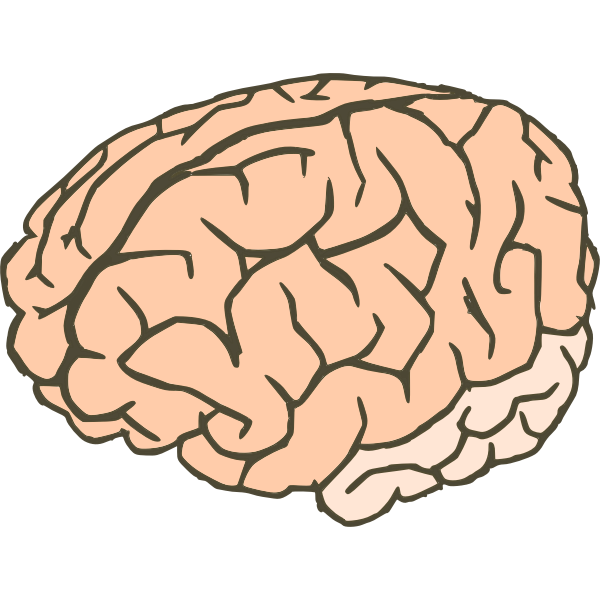 Cartoon Brain SVG