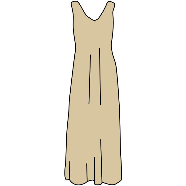 Brown dress vector image