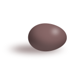 Brown egg