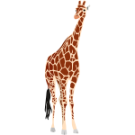 Vector drawing of giraffe with black tail