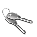 Two keys on a keychain vector graphics