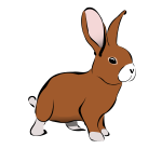 Brown Rabbit