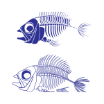 Fish skeleton vector graphics