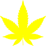 Yellow hemp leaf