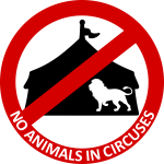 No Animals in circuses