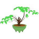 Bonsai in a Pot