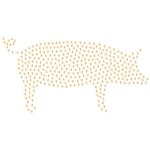 Year Of The Pig 3 Gold No BG