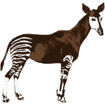 Okapi