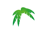 Palm's tree leaves vector illustration