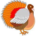 Turkey vector image