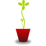 Vector drawing of tender green plant in red pot