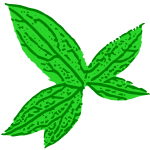 Green Leaf