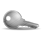 Shiny door key vector illustration