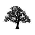 tree3 bw 3