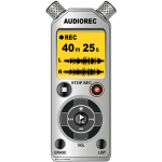 Voice / audio recorder / dictaphone