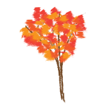 Maple tree in autumn vector illustration