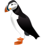 Puffin bird vector illustration