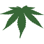 Cannabis leaf color vector image