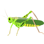 Green bug