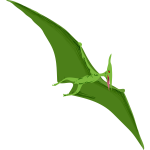 Vector drawing of reptile in flight