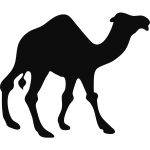 Camel silhouette vector image