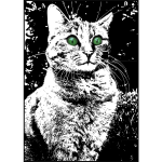 Cat with green eyes