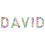 David Typography