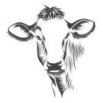 Detailed Cow Line Art