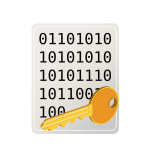 Encrypted file icon vector drawing