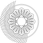 Half of a blooming flower vector image