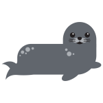 Gray seal