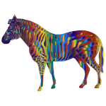 Iridescent Zebra