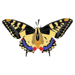 Low Poly Butterfly