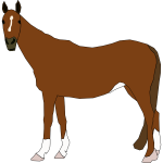 Vector illustration of brown horse standing