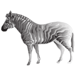 Monochrome Zebra 2