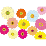 Multicolored flowers