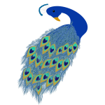 Graphics of blue peacock tail and head