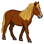 Colored horse