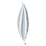 Silver Feather