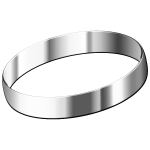 Stainless steel ring