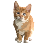 Stylized Geometric Kitten