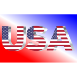 USA Flag Typography Silver