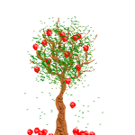 apple tree